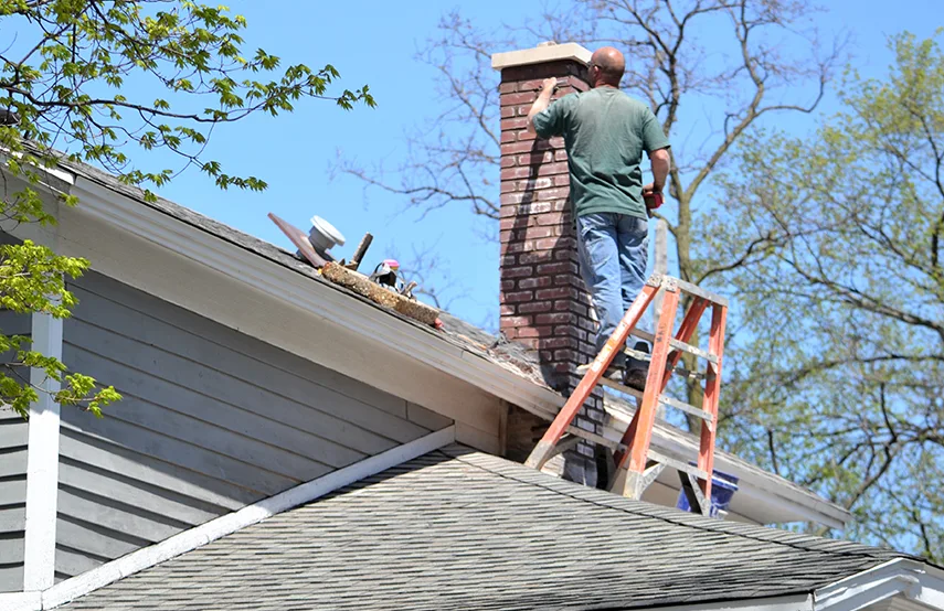 Chimney & Fireplace Inspections Services in Farmington, MN